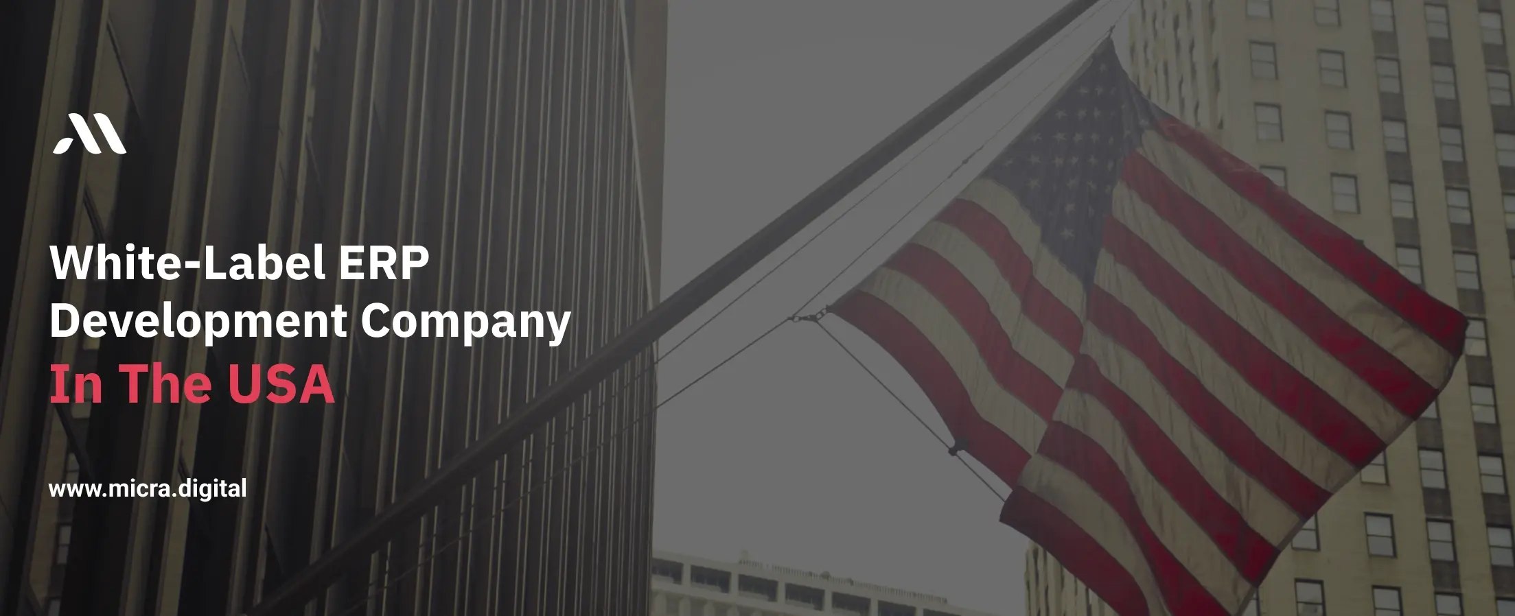 White-label ERP development company in the USA